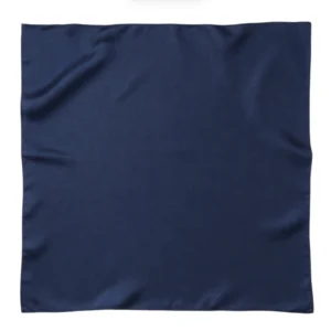 Twill Silk Plain Scarf