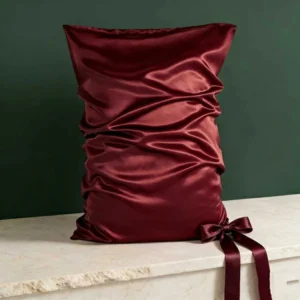 Comforters 100% Mulberry Travel Silk Pillow Case