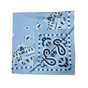 Double-Sided Paisley Printed Silk Bandana (1)