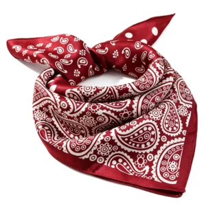 paisley silk bandana